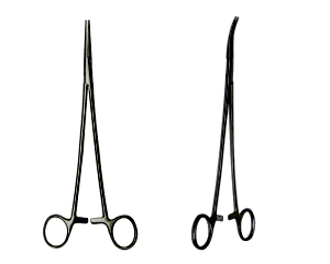 Bengolea Forceps (Several sizes)