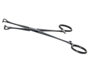 Babcock Forceps (Several sizes)